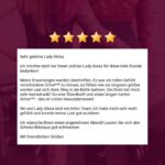 Review-Bi-Abenteuer
